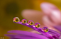 Photograph Five Star by Miki Asai on 500px