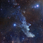 女巫星云是一个依照它的形状而命名的反射星云，而且它与猎户座中的亮星参宿七是有关联的。星云并不会发光，主要是因为星云中细微的星际尘埃反射着参宿七的星光，而使得女巫星云看起来闪闪发光。By:Noel Carboni