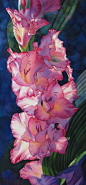 ✯ Gladiolas | beauty of flowers | Pinterest