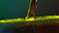 NIKE MAGISTA 2 : What might happen if the foot had evolved to play football?Working with the Nike global football team, we were briefed to create a product superiority film and numerous retail assets for the launch of the new Magista 2.Motion Capture data