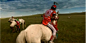 蒙古大草原上人群骑马比赛 众人赛马高清实拍视频素材