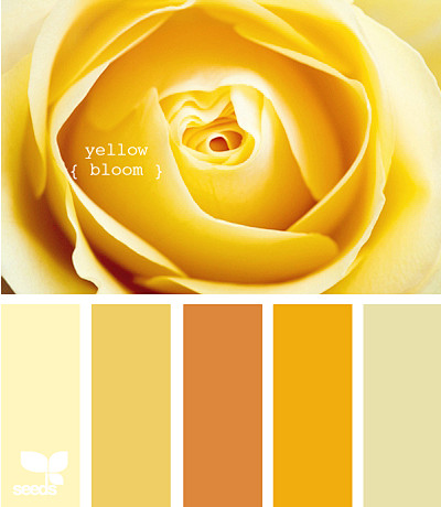 Yellow2Bloom、色卡