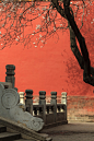 雕栏玉砌应犹在，不知花语由谁解？故宫 御花园 Imperial Garden摄影照片