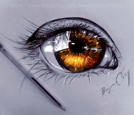 一位外国画师绘制的各种各样的眼睛，看完真...