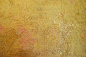 closeup-gilding