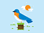 Eastern Bluebird