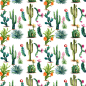 水彩仙人掌插画 平铺植物背景 png元素免扣 patterns01