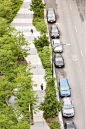 景观市政道路及绿化斑马线设计