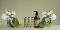 soap product ILLUSTRATION  papercut botanical brand beauty