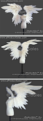 eProductSales ZEN Feather Angel Wings for BJD DOLLS on Behance