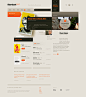 Stardust shop on Web Design Served