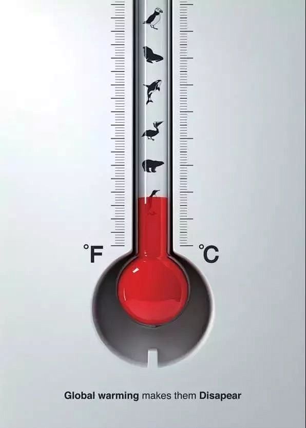 全球变暖：每升温一度

就会有一种生物从...