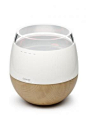Hwaro | A heating humidifier combined with an air purifier. | Designer Team: Hun-jung Choi and Sung-wook Jung of Woongjin Coway Co. Ltd. (South Korea) | IDEA Gold 2010 | IDSA
