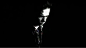 Into My Arms - Nick Cave : 出自Nick Cave（尼克·凯夫）1997年被评论称为“最温柔且最深刻”的专辑《The Boatman's Call》。Nick Cave是位国际知名的黑暗人文创作歌手，广受乐评推崇，他的光芒不仅闪耀着乐坛，他在文学领域也同样享有盛名...