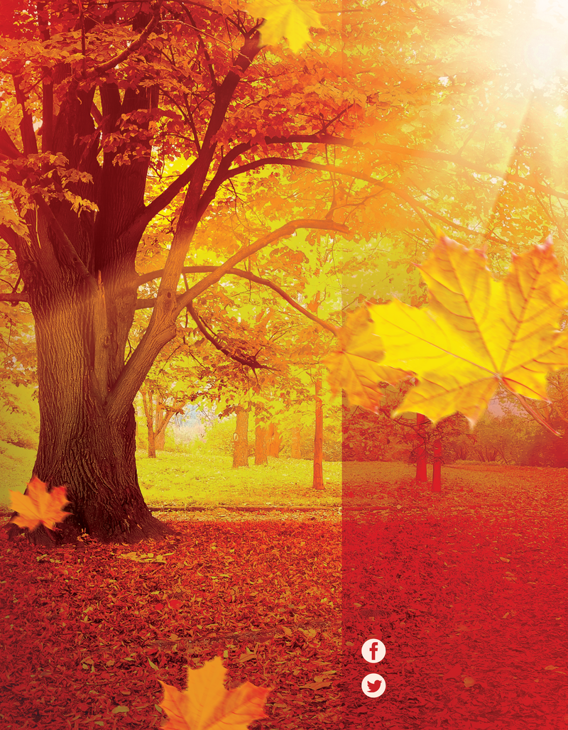 bf386a53e6d9b02e98cbb206cf3ab9d07648eedc180635-oqJEGK