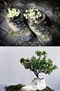 【旧鞋子的新用途：变身花盆来种花】一位…