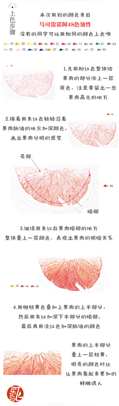 yical采集到植物铅笔彩绘——飞乐鸟