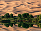 山水自然沙漠国家地理绿洲骆驼沙丘反射 - 壁纸（#2250266）/ Wallbase.cc
