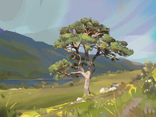 Scots Pine study, An...