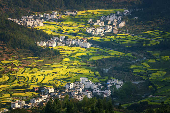 婺源江岭