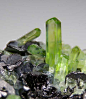 mineralists:

Diopside on Graphite Merelani Hills, Tanzania