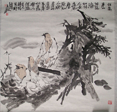 海螺贝壳采集到插画-手绘