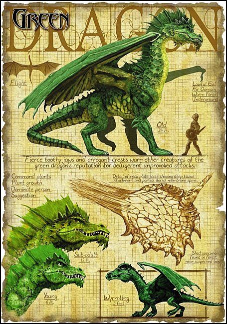 Green Dragon --from ...