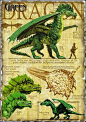 Green Dragon --from A Practical Guide to Dragons: 