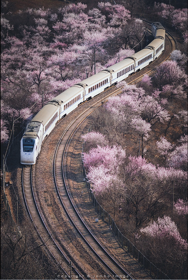 开往春天的列车 北京居庸关