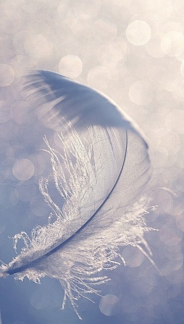 Feather