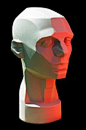 Planes of the Head - Artist's Mannequin Head: 