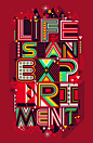 Life is an Experiment Stretched Canvas