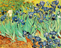 文森特·梵高

后期印象派画家之一。以跃动的线条，凸起的色彩表达主观感受和激动情绪。

《鸢尾花》