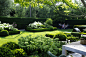 Suburban garden, well kept rectangular lawn, planted beds edged with clipped buxus sempervirens hedging, july