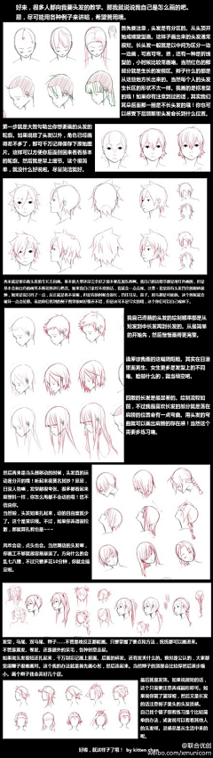 vAODTECz采集到艺用解剖与人体结构和透视