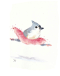 Original Bird Watercolor - Ballet Art, Tutu, Tufted Titmouse, nursery art from WaterInMyPaint!: 