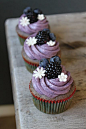 Blueberry-Blackberry Cupcakes with Blueberry Cream Cheese Frosting