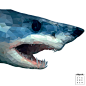 Mako shark : Gotta love sharks.  鲨鱼LowPoly低面低多边形素材抽象平面设计艺术元素背景图片模板 low poly triangles