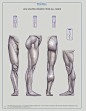 anatomy for sculptors-213