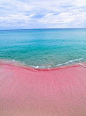 世上独一无二的粉色沙滩，巴哈马哈勃岛东侧的Pink Sands Beach美呆~