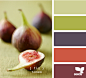 fig tones