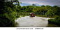 西溪湿地xixi wetland - stock photo