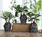 高仿真绿色植物工艺品 美式客厅装饰物 带球根的植物盆栽