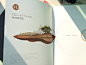 君澜木吊顶|木墙面，2013服务至今、品牌年度设计服务-画册设计
