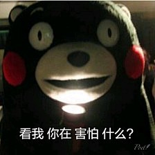 【熊本熊表情包】