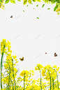 春季美丽油菜花装饰边框 免费下载 页面网页 平面电商 创意素材