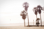 beach-holiday-palms-2531.jpg