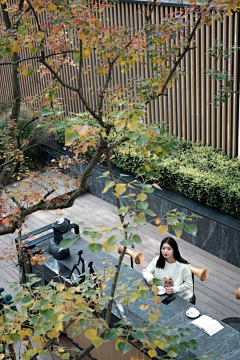 宸冶园林采集到Villa Landscape Design