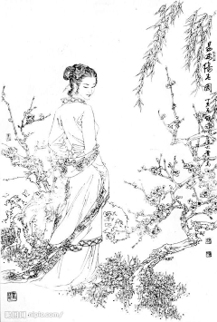 季子乌采集到国风花鸟人/山水古画