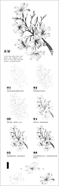 本案例摘自爱林文化主编、人民邮电出版社出版的《黑白花意2——88朵超纯美的花之绘》http://product.dangdang.com/23706389.html